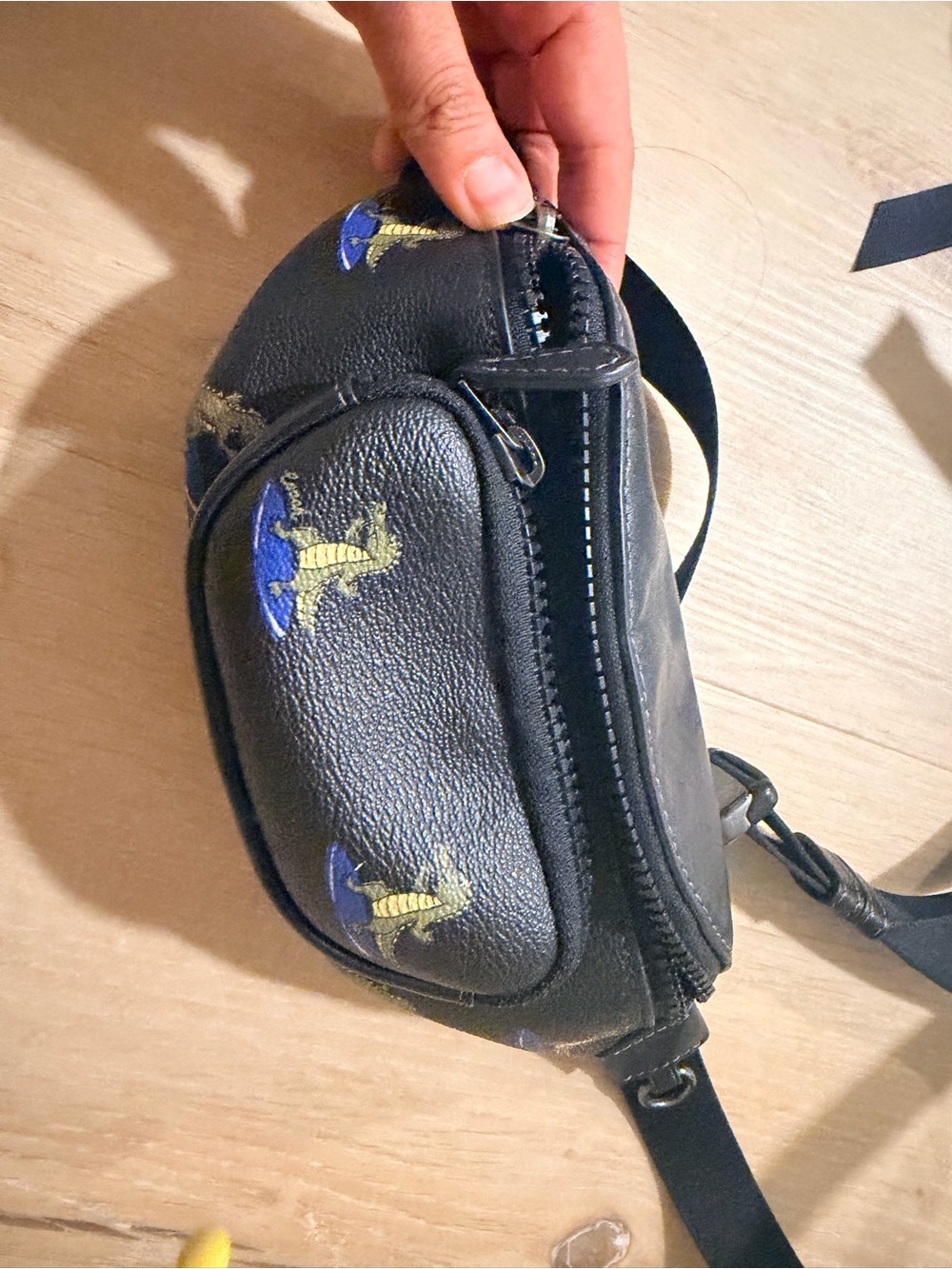 Black Leather Crossbody Belt Bag